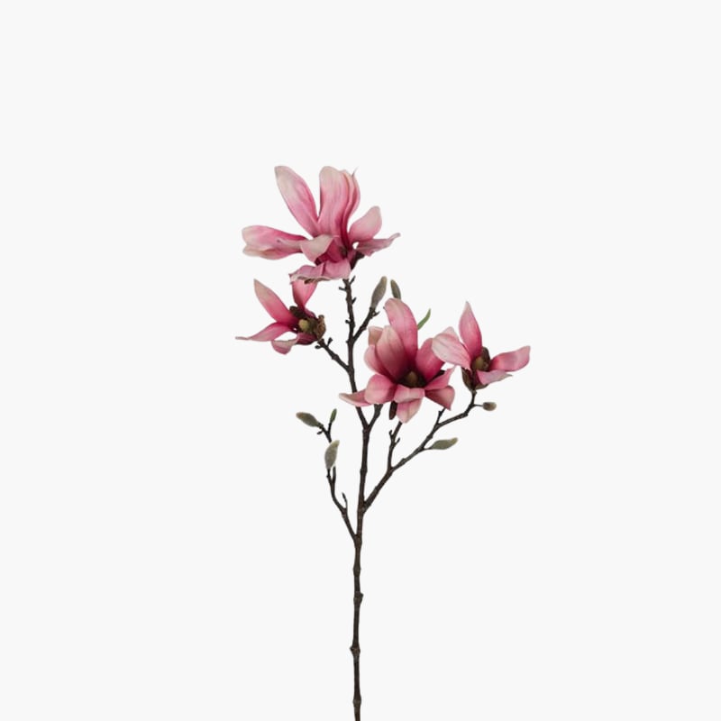 Magnolia pink 50 cm 
