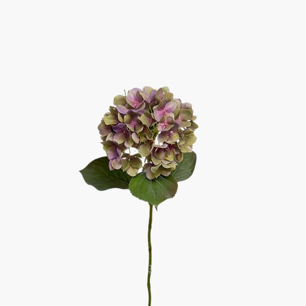 Hortensia violet 65 cm 