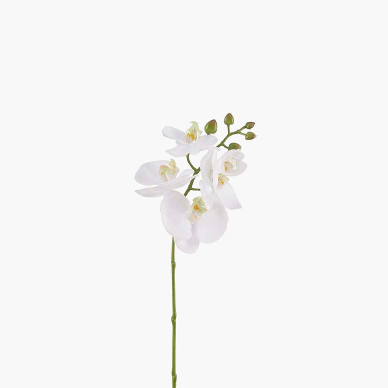 Orkidea 50 cm 