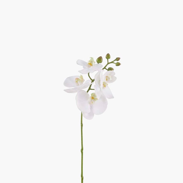 Orkidea 50 cm 