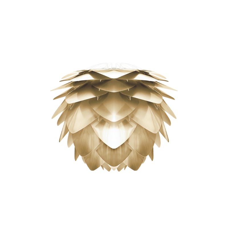 Silvia Medium Brushed Brass, Umage