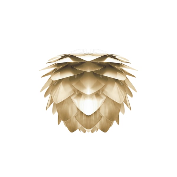 Silvia Medium Brushed Brass, Umage