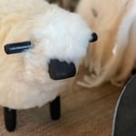 Lammasrahi L  — kuva 3