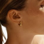 Azura Hoops S Gold korvakorut, Edblad — kuva 2