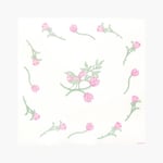  Lautasliina Pinson 20 kpl, 40x40 cm, Françoise Paviot — kuva 1