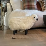 Lammasrahi L  — kuva 1