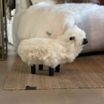 Lammasrahi M  — kuva 1