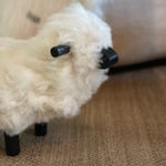 Lammasrahi M  — kuva 2