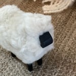 Lammas XS — kuva 2