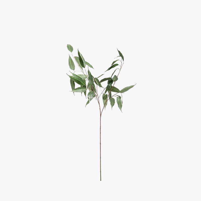 Eucalyptus 110 cm 