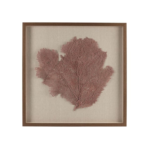 Frame with Deco Coral 