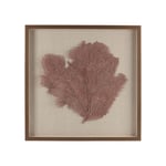 Frame with Deco Coral  — kuva 1