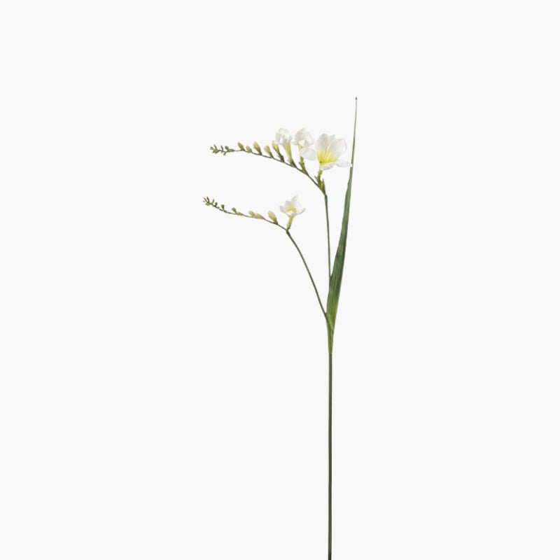 Freesia valkoinen 55 cm 