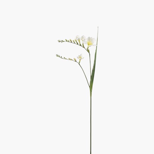 Freesia valkoinen 55 cm 