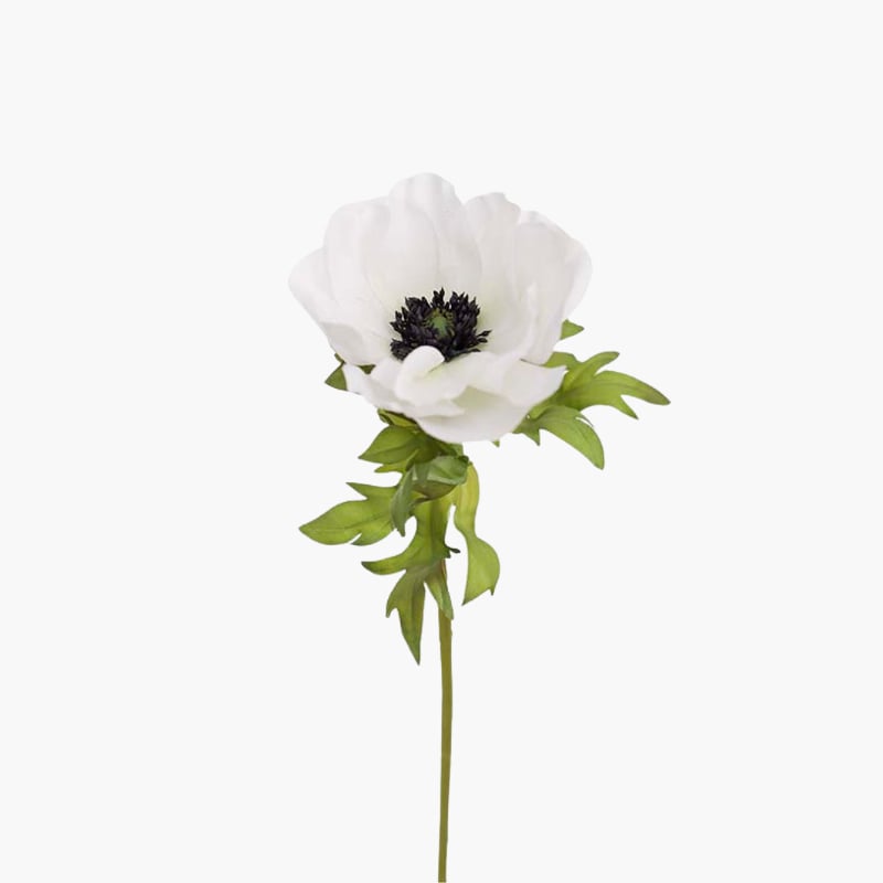 Anemone valkoinen 45 cm