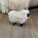 Lammas XS — kuva 1