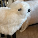 Lammasrahi XL  — kuva 2