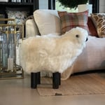 Lammasrahi XL  — kuva 1