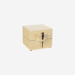 Box with Dragonfly S soft yellow Oi Soi Oi  — kuva 1
