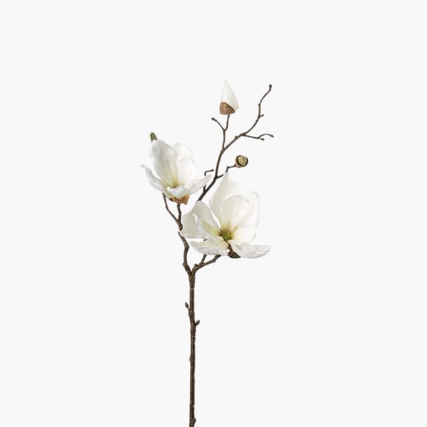 Magnolia 45 cm 