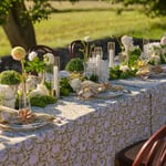 Tangier Pomegranate -pöytäliina 150x350cm, Chamois — kuva 2