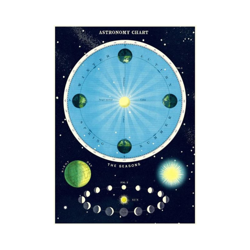 Juliste Astronomy Chart Cavallini 