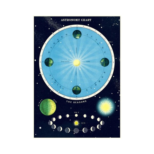 Juliste Astronomy Chart Cavallini 