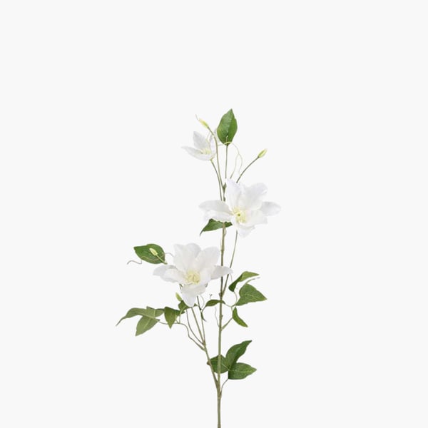 Clemantis valkoinen 85 cm 