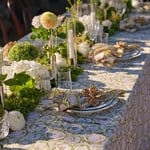 Tangier Pomegranate -pöytäliina 170x270cm, Chamois — kuva 4