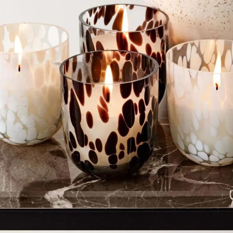 Scented Candle Baby Oyster brown 