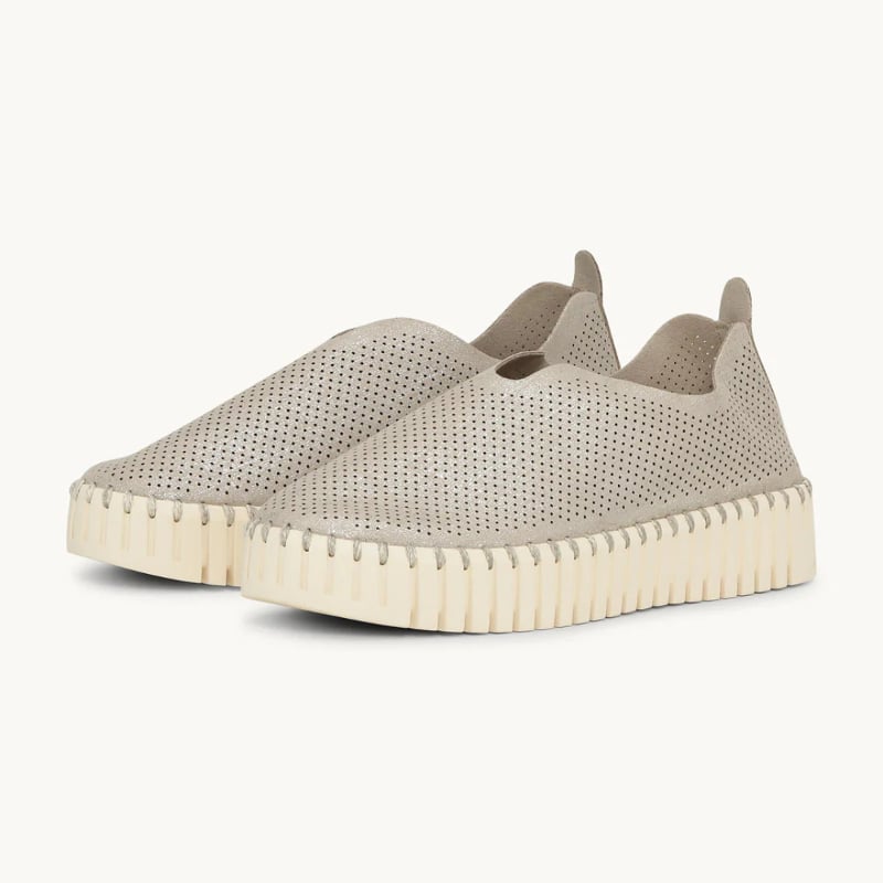 Platform Tulip kenkä Glitter, Silver Pearled Ivory, Ilse Jacobsen — kuva 3