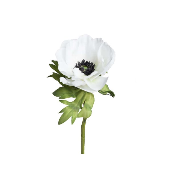 Anemone valkoinen 45 cm