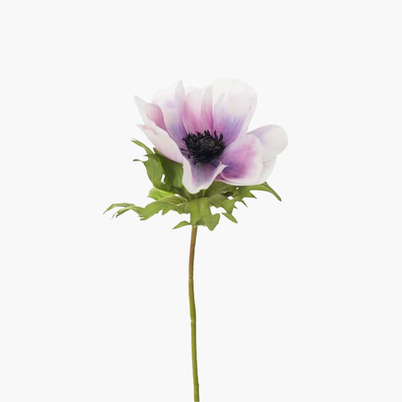 Anemone lila 45 cm 