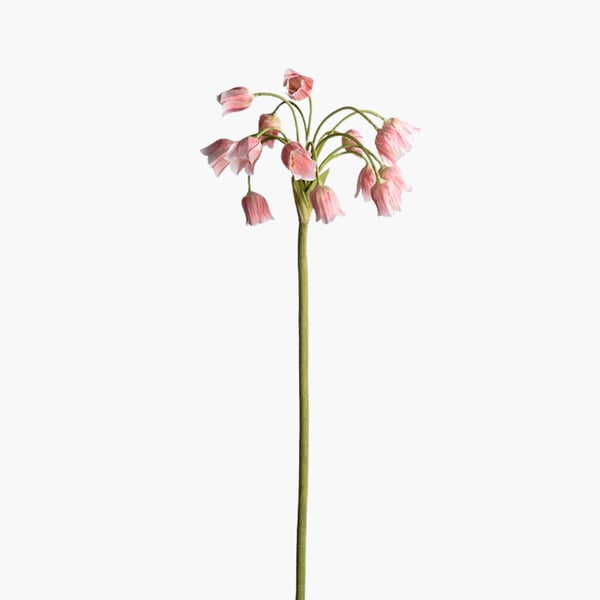 Allium pink 65 cm 